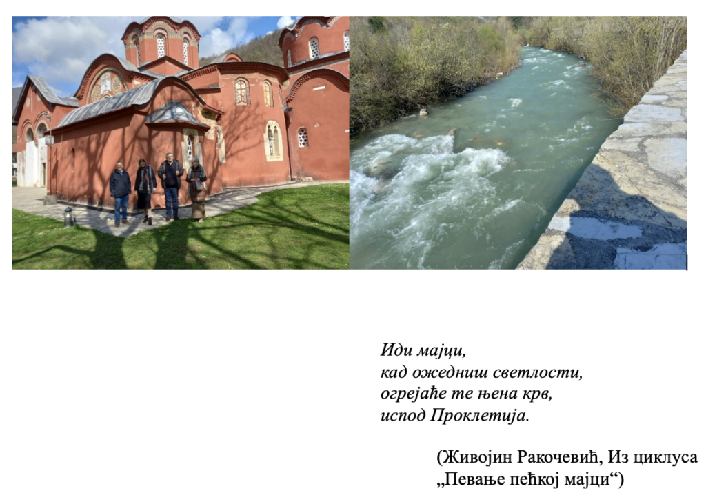 Митра Рељић: Мајци у походе